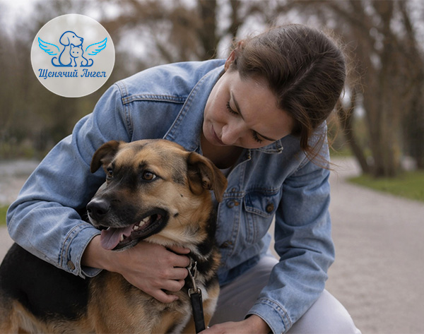 Почему собака воет