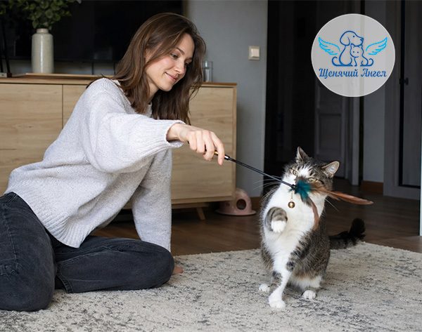 ПОЧЕМУ ОДНИ КОШКИ НОЧЬЮ СПЯТ, А ДРУГИЕ НЕТ