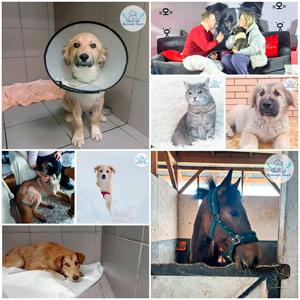 Отчет за март