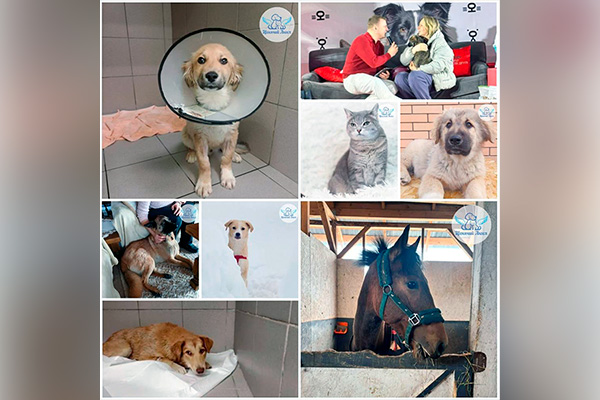 Отчет за март