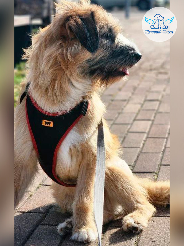 Дуня на реабилитации