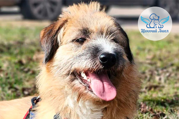 Дуня на реабилитации