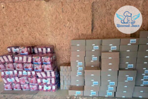 Говорим спасибо фонду «Котодетки»