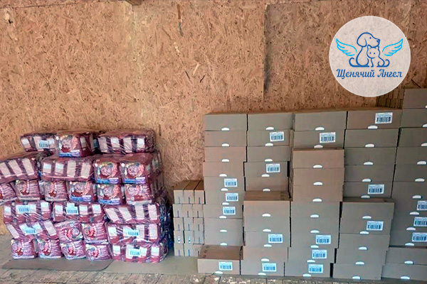 Говорим спасибо фонду «Котодетки»