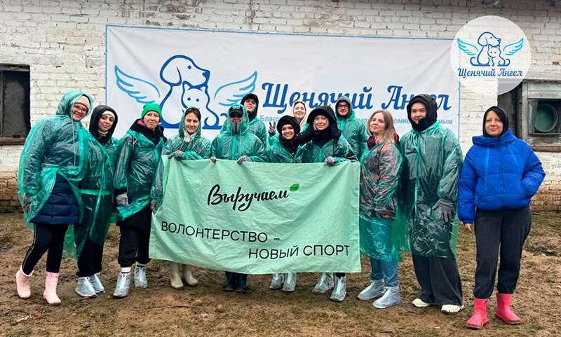 Жизнь наших подопечных 21.04.2026: День новых друзей и долгих прогулок