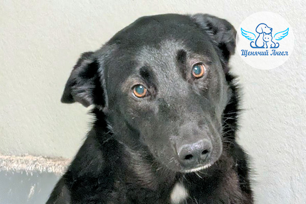 ЖП_2026-04_26_Гретта_и_Тигра_3x2