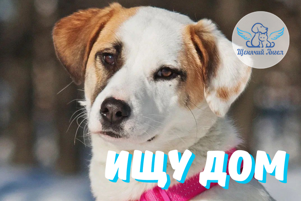 ЖП_2026-05_14_Лора_Ищу_Дом_600х400