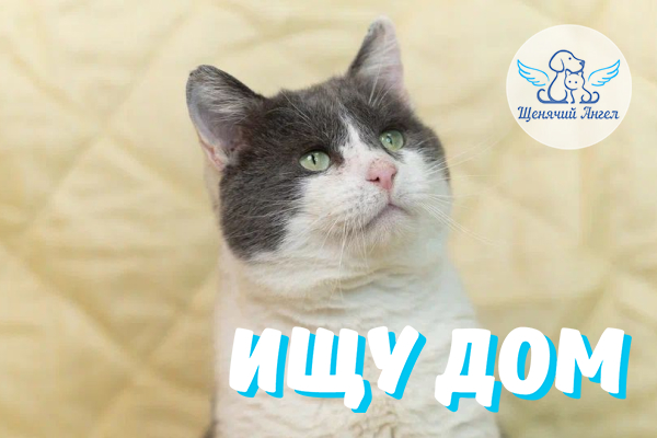 ЖП_2026-06_02_Маркиз_Ищу_Дом_600х400