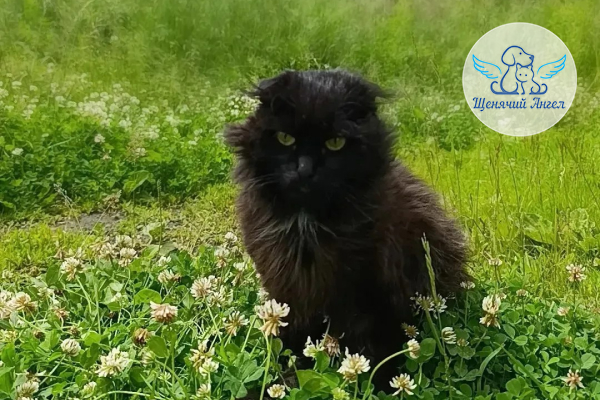 ФД_2026_07_08_Уголек