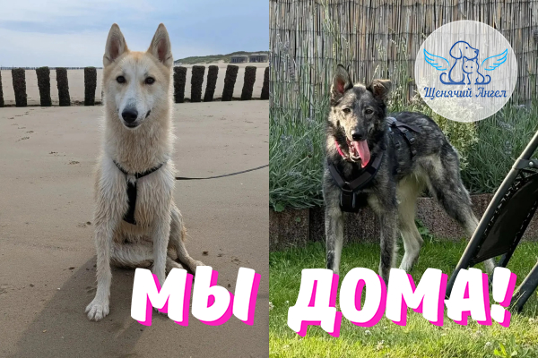 Н_2026_08_20_Адель_Аврора_Мы_Дома