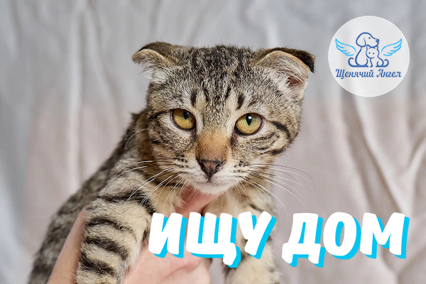 ЖП_2026_08_17_Аватар_Ищу_Дом