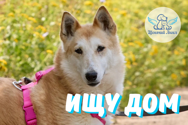 ЖП_2026_08_24_Умка_Ищу_Дом ЖП_2026_08_24_Умка_Ищу_Дом