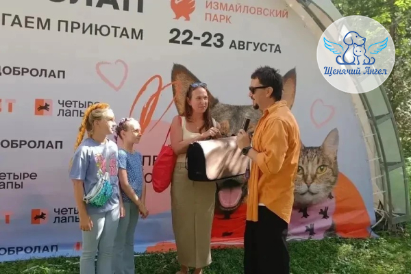 ЖП_2026_08_31_Четыре_Лапы_Фест ЖП_2026_08_31_Четыре_Лапы_Фест