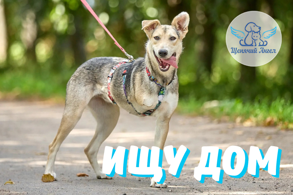 ФД_2026_09_01_Тучка ФД_2026_09_01_Тучка