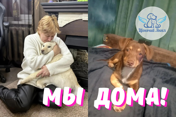Н_2026_09_14_Лайза_Донна_Мы Дома