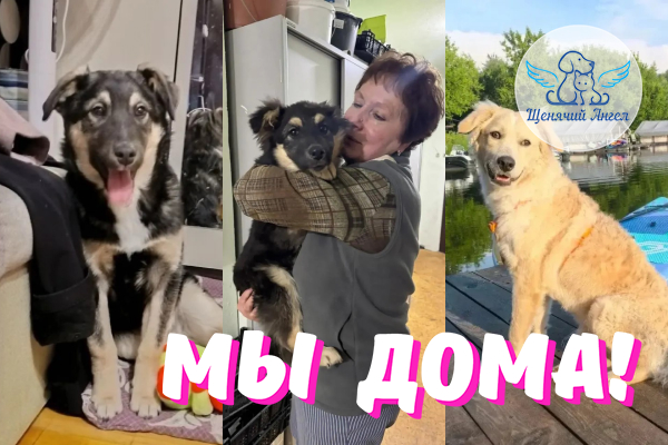 Н_2026_09_30_Лайк_Локки_Лизок_Мы_Дома