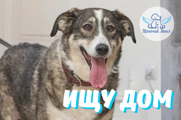 ЖП_2026_09_25_Мила_Ищу_Дом ЖП_2026_09_25_Мила_Ищу_Дом
