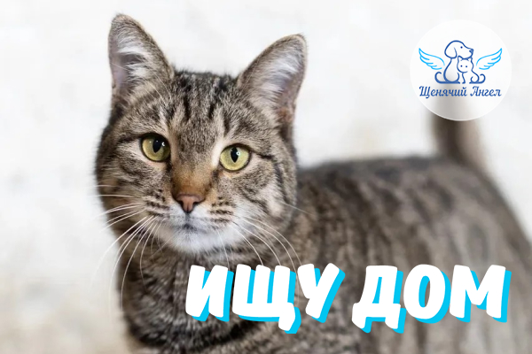 ЖП_2026_09_30_Рита_Ищу_Дом