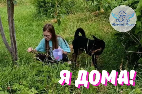 Н_2026_10_01_Рафаэль_Я_Дома