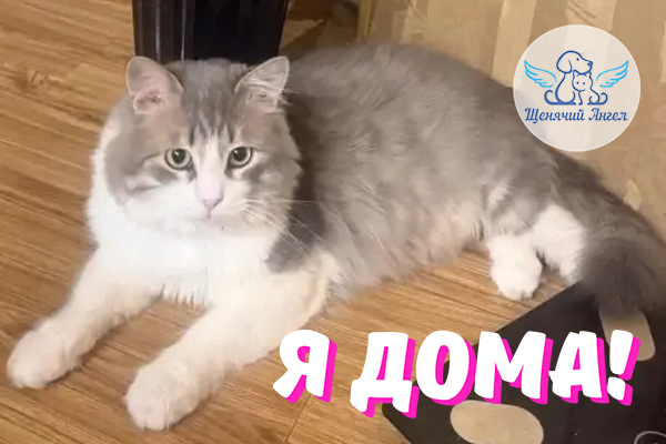 Н_2026_10_26_Немо_Я_Дома Н_2026_10_26_Немо_Я_Дома