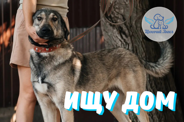 ЖП_2026_10_07_Лада_Ищу_Дом ЖП_2026_10_07_Лада_Ищу_Дом