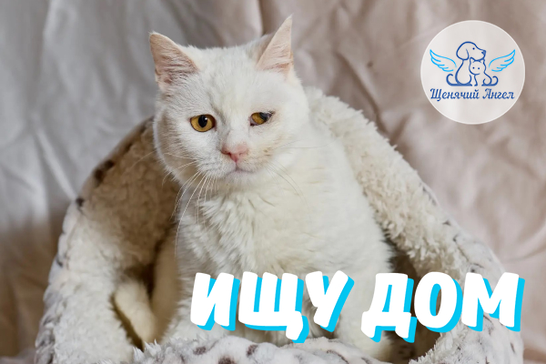 ЖП_2026_10_26_Ляля_Ищу_Дом ЖП_2026_10_26_Ляля_Ищу_Дом